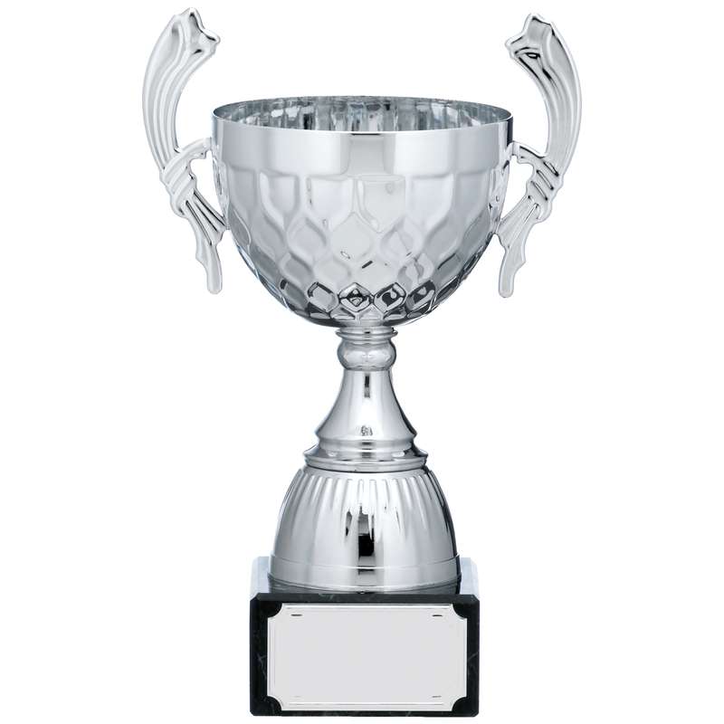 SILVER CUP TROPHY WITH HANDLES