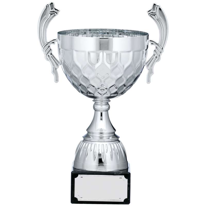 SILVER CUP TROPHY WITH HANDLES