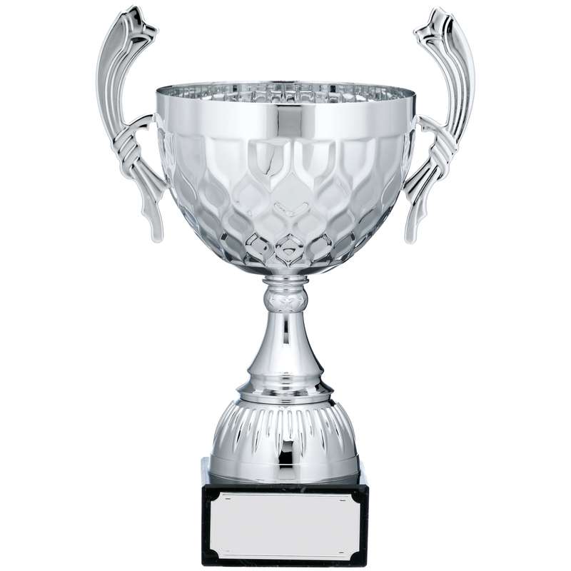 SILVER CUP TROPHY WITH HANDLES