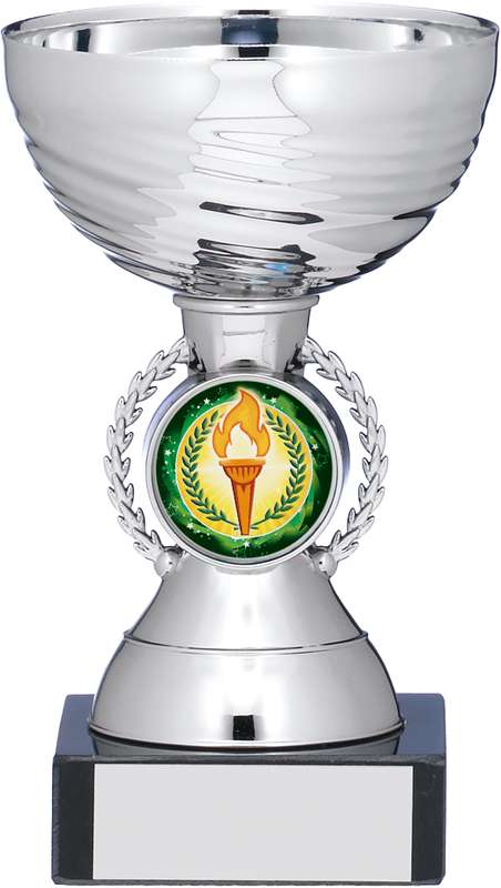 SILVER CUP TROPHY