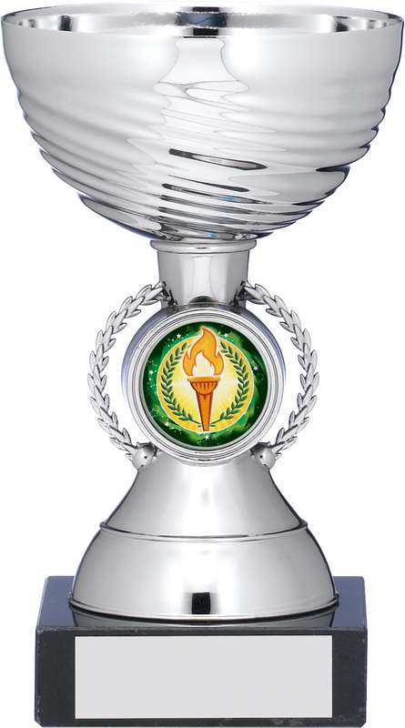 SILVER CUP TROPHY