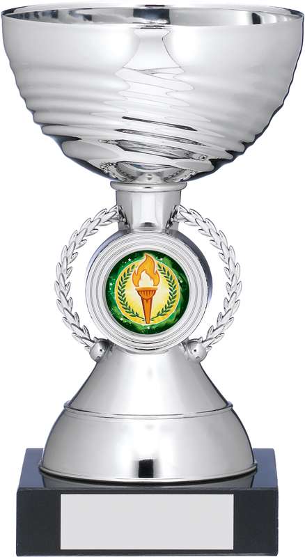 SILVER CUP TROPHY