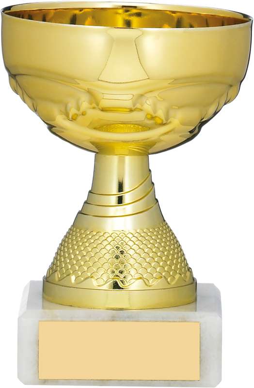 GOLD CUP TROPHY