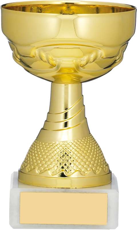 GOLD CUP TROPHY