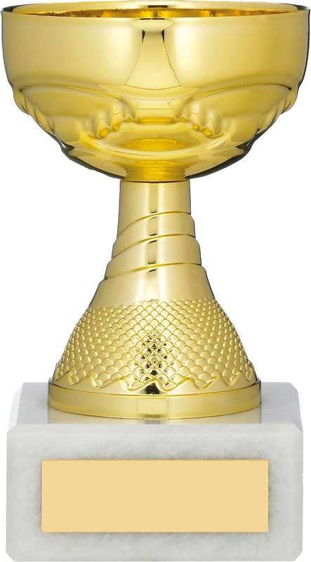GOLD CUP TROPHY