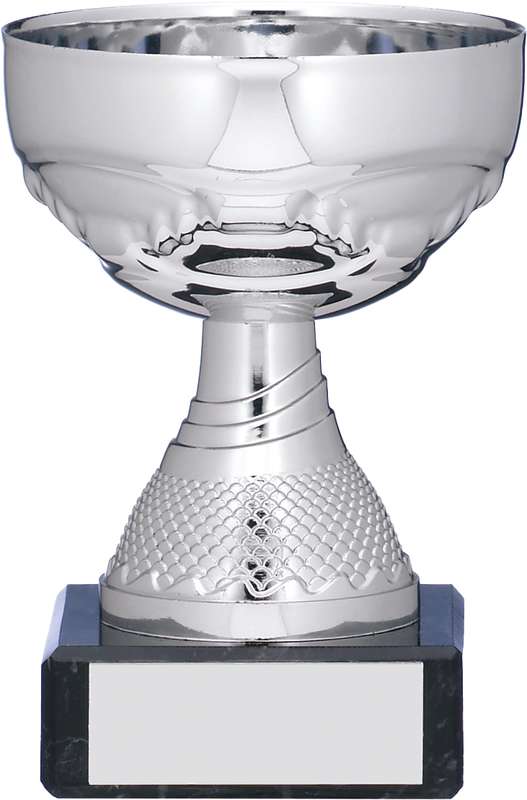 SILVER TROPHY