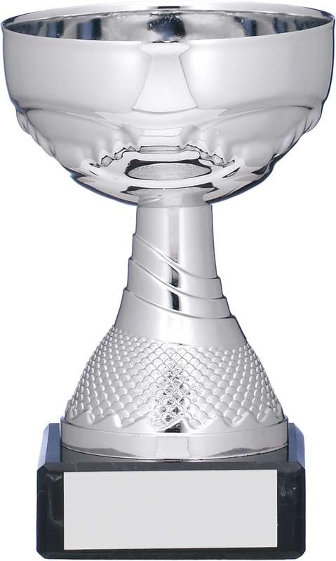 SILVER TROPHY
