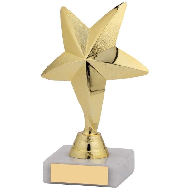 STAR AWARD