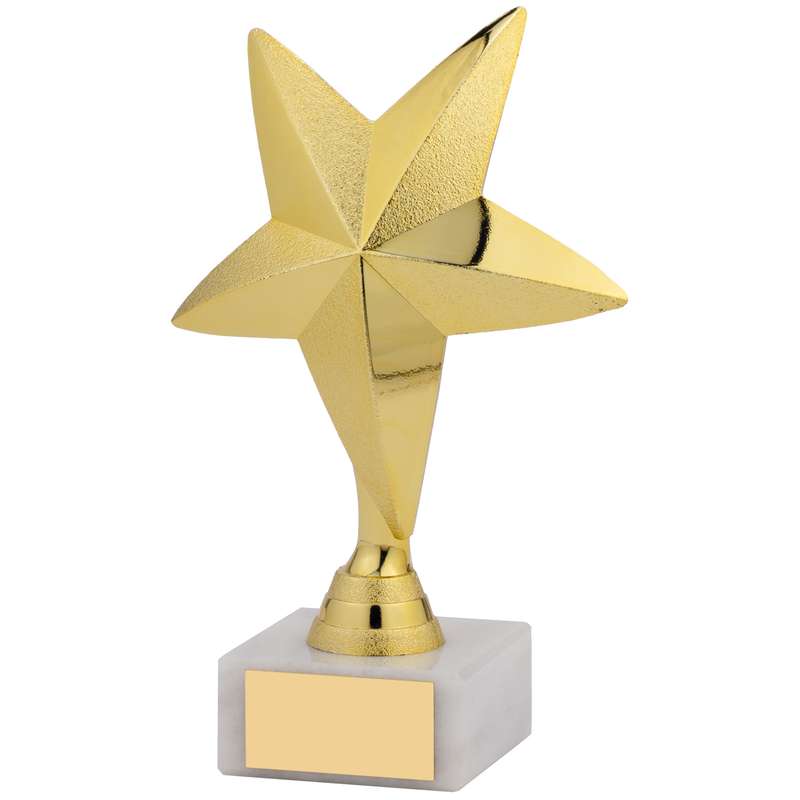 STAR AWARD
