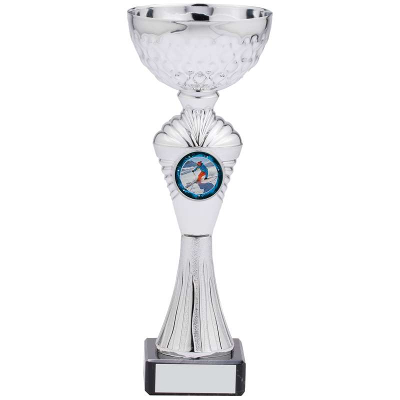 SILVER CUP TROPHY