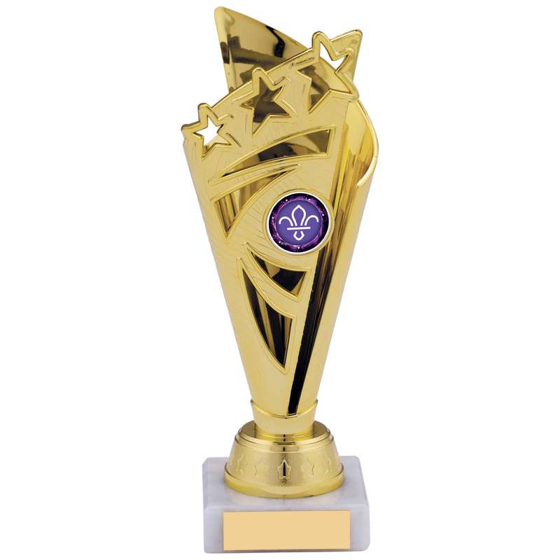 GOLD TROPHY