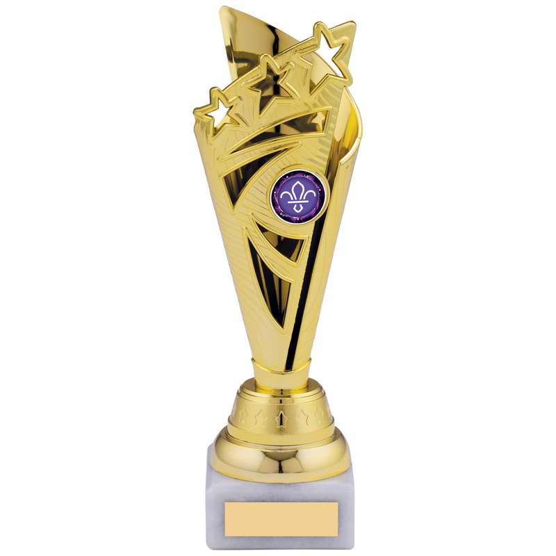 GOLD TROPHY