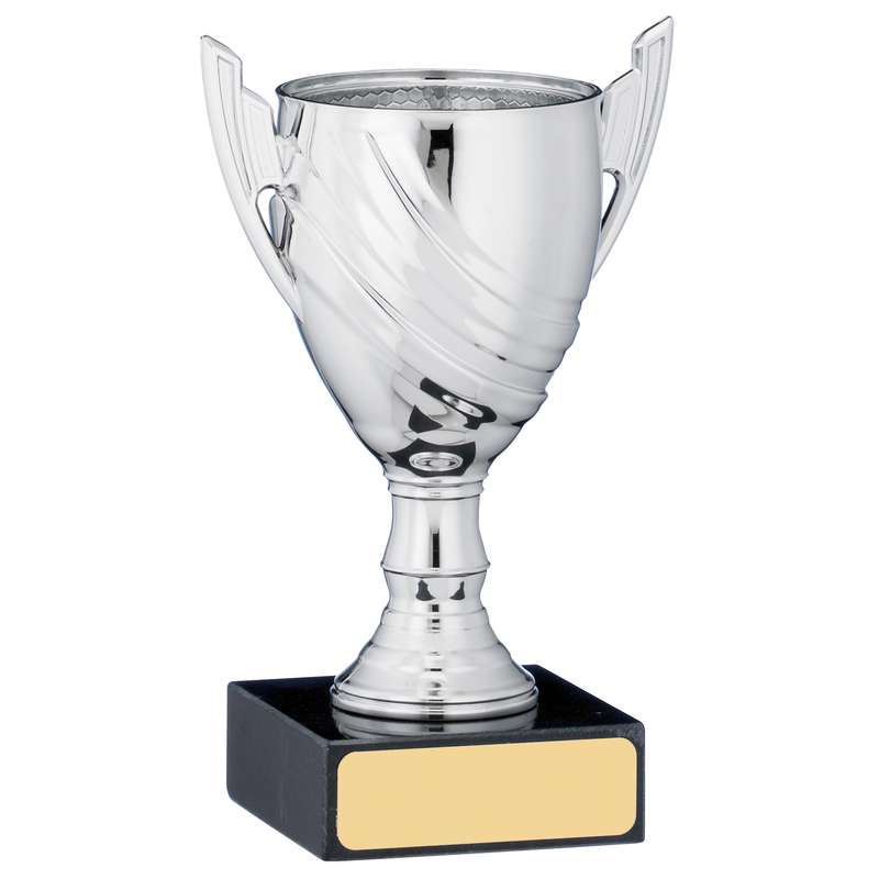 SILVER CUP TROPHY
