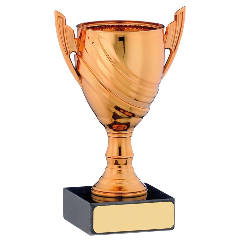 BRONZE CUP TROPHY