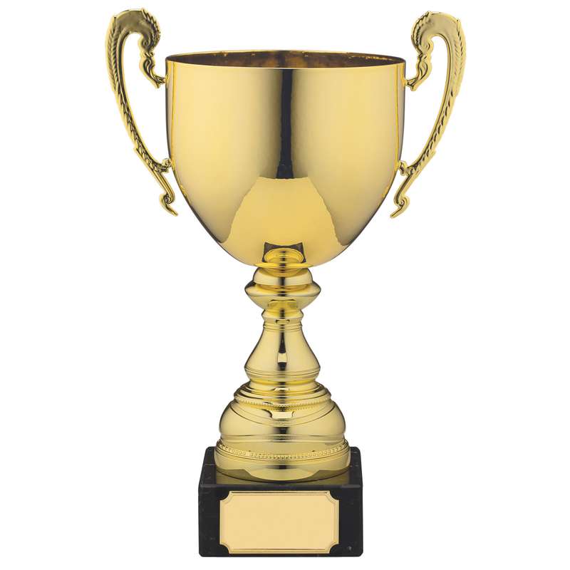 SILVER CUP TROPHY