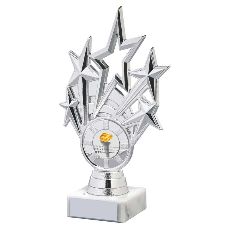 Silver Star Holder/Silver Tube Award – Silver