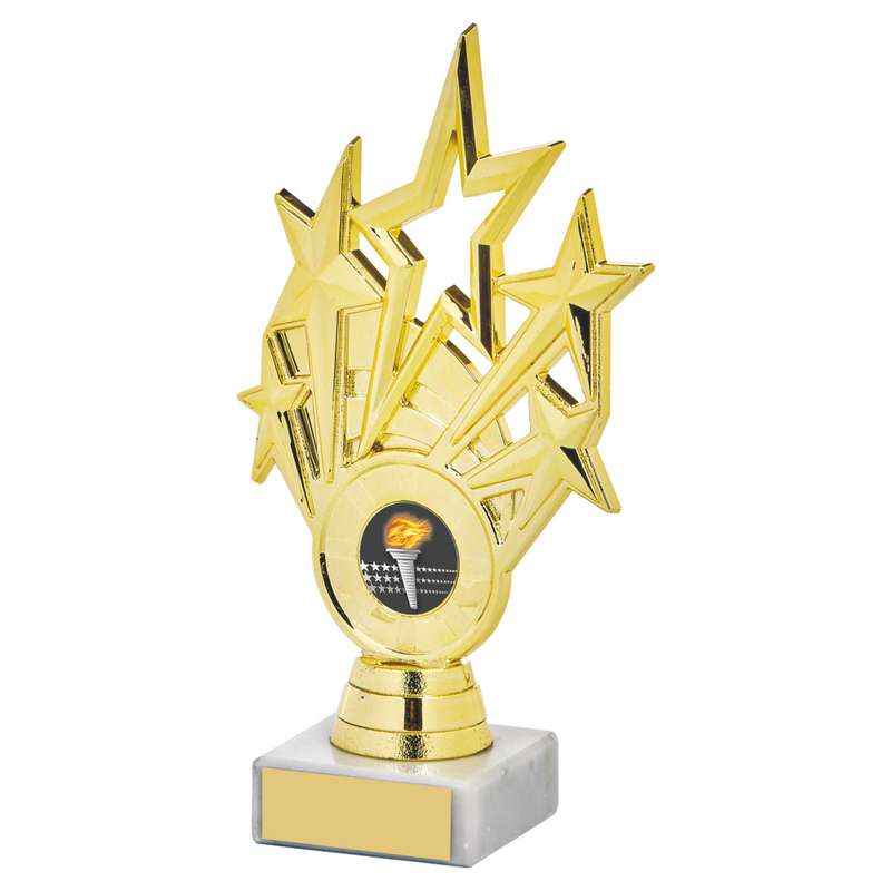 Gold Star Holder/Gold Tube Award – Gold
