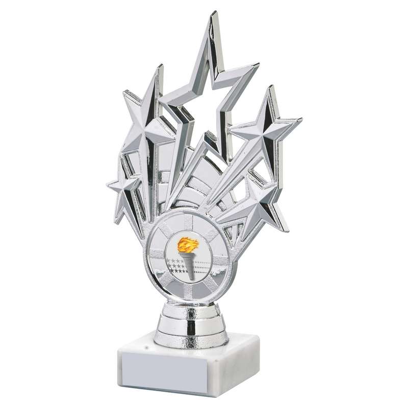 Silver Star Holder/Black Tube Award – Silver/Black