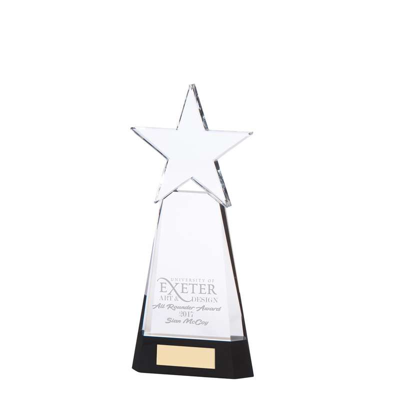 Houston Crystal Award
