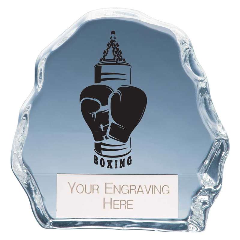Mystique Boxing Glass Award