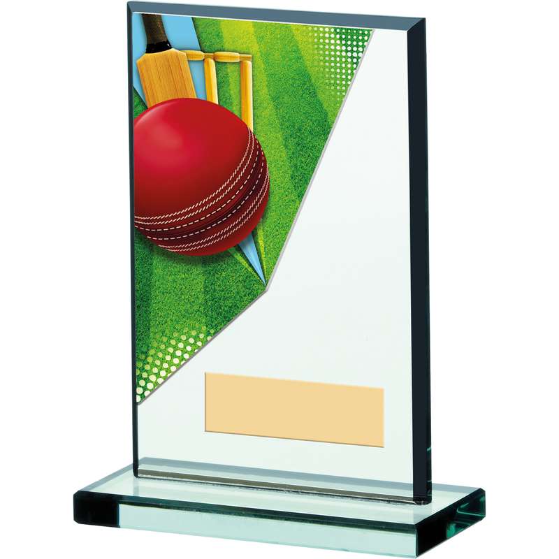 CRICKET ACRYLIC TROPHY