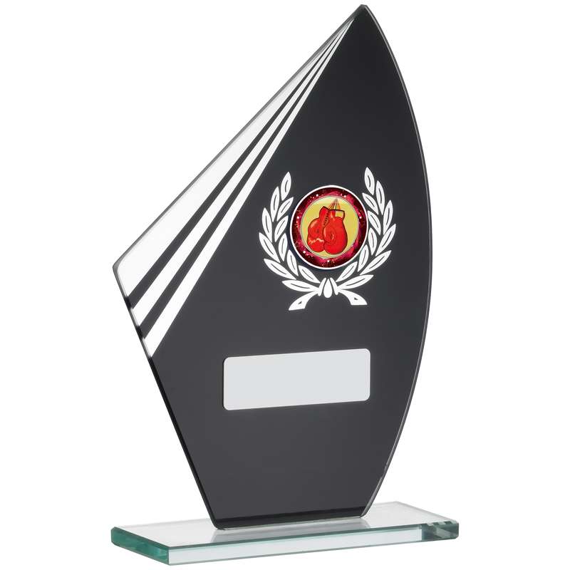 BLACK MIRROR GLASS AWARD