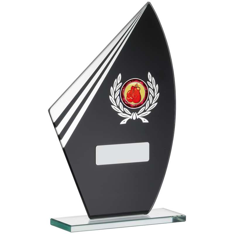 BLACK MIRROR GLASS AWARD
