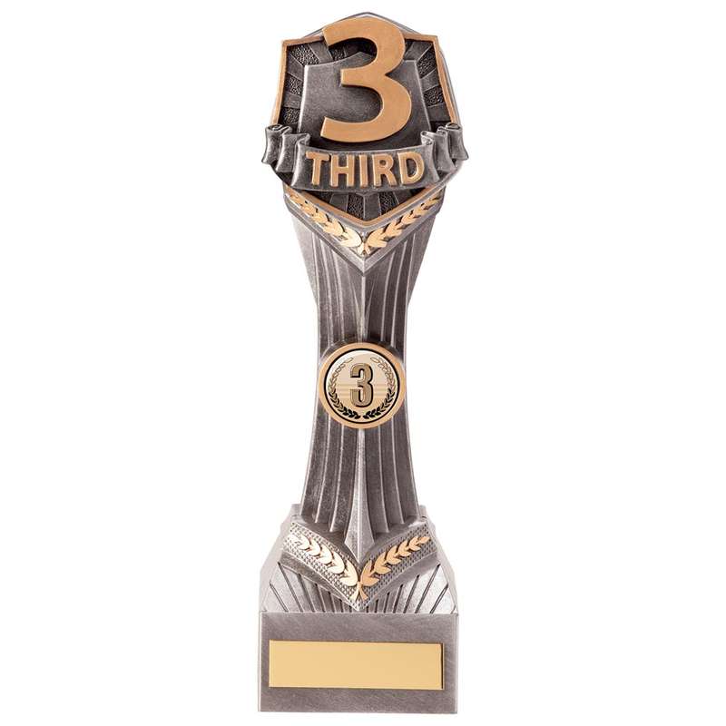 Falcon Third Place Award