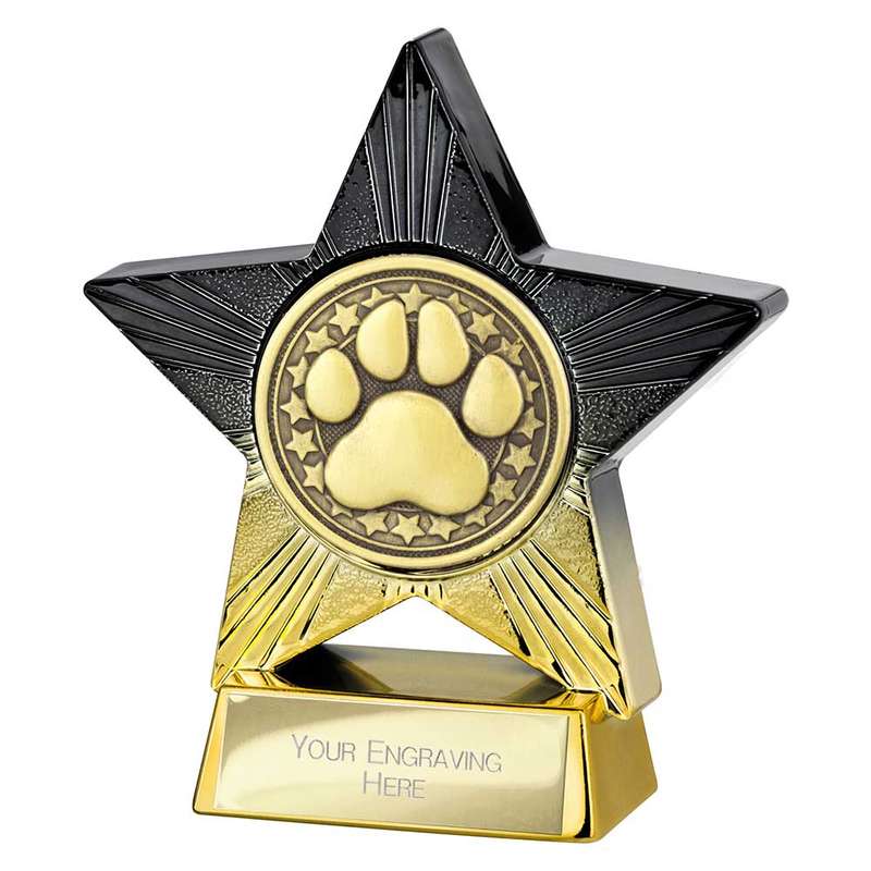Superstar Dog Agility Award
