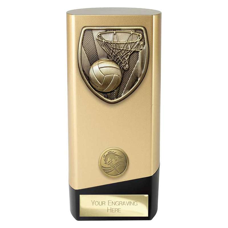 Prime Cobra Netball Award