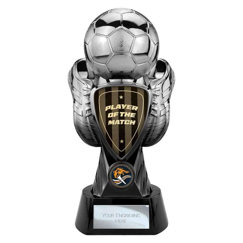 Tournament Heavyweight Player of Match