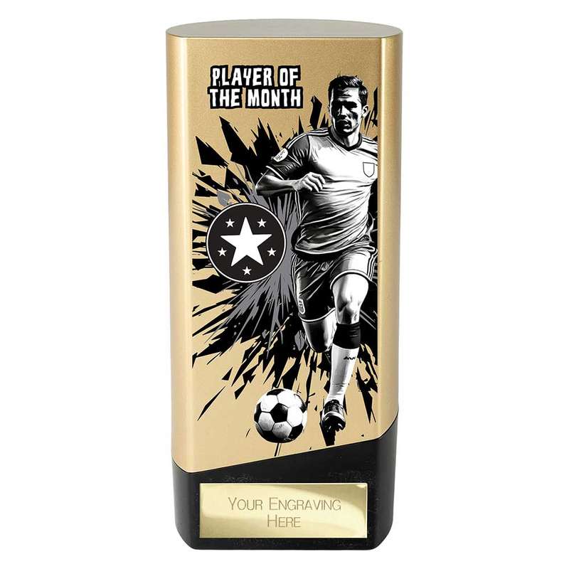 Prime Heavyweight Player of the Month