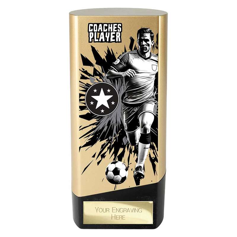 Prime Heavyweight Coaches Player