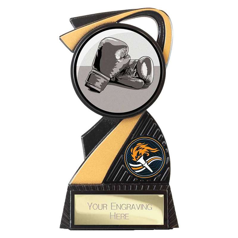 Mania Tower Boxing Award