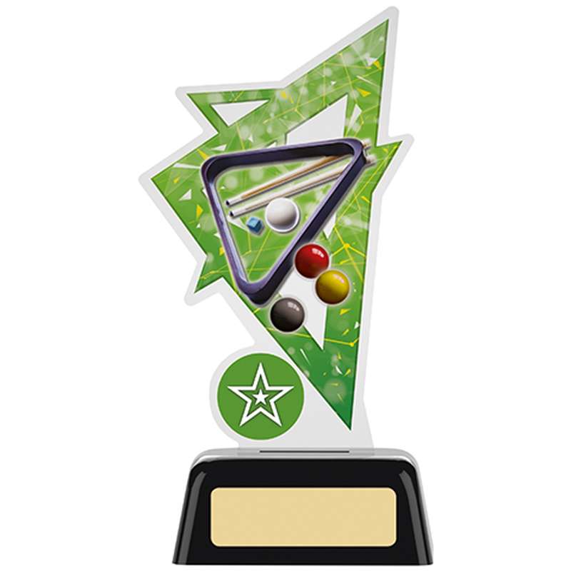 POOL ACRYRIC AWARD