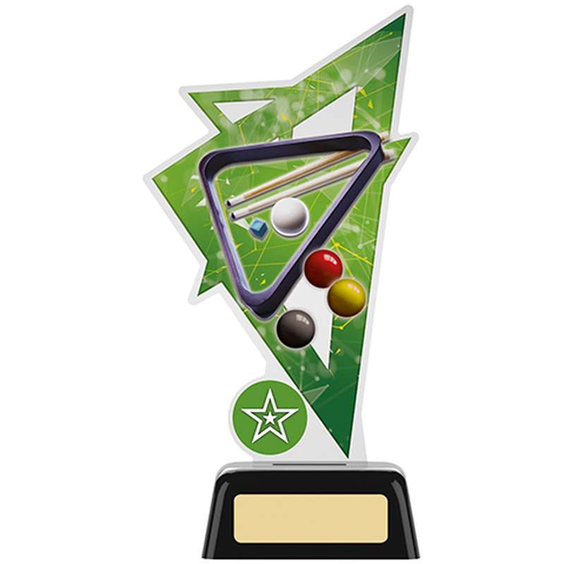 POOL ACRYRIC AWARD