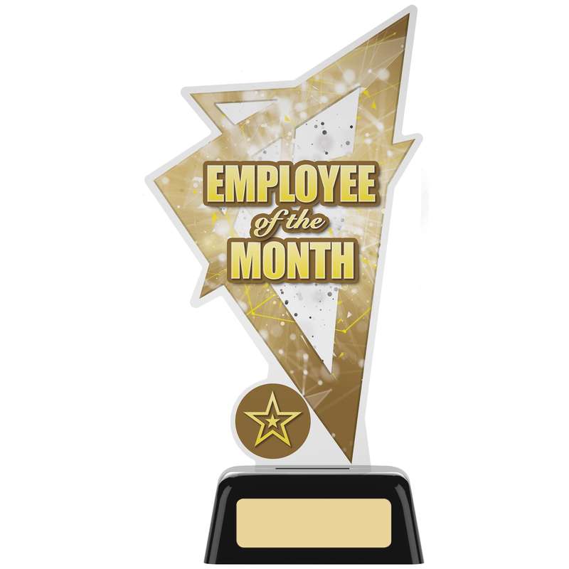 EMPLOYEE OF THE MONTH AWARD