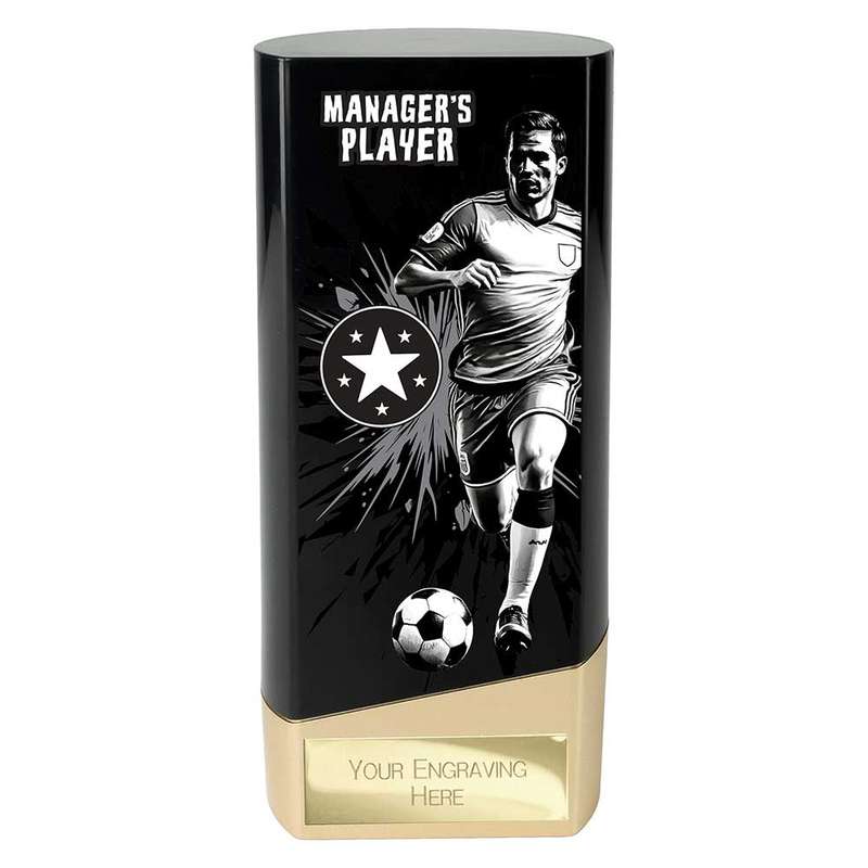 Prime Heavyweight Managers Player