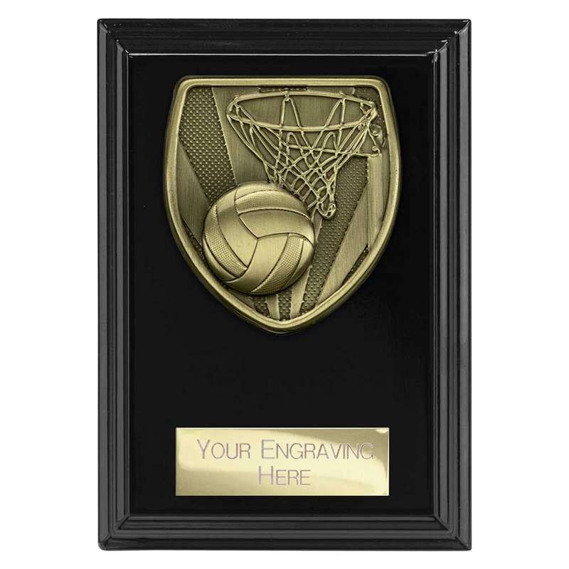 Cobra Plaque Netball Award