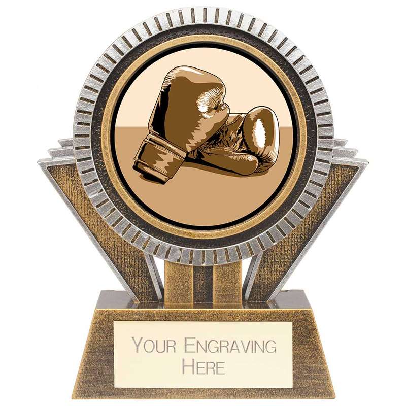 Apex Boxing Award Gold & Silver