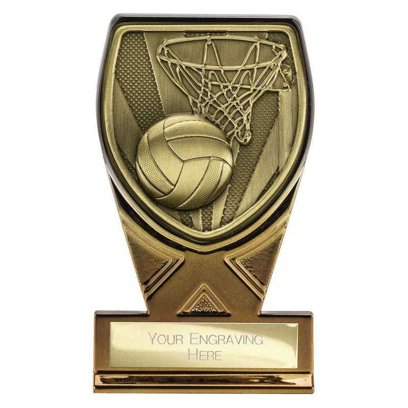 Fusion Cobra Netball Award