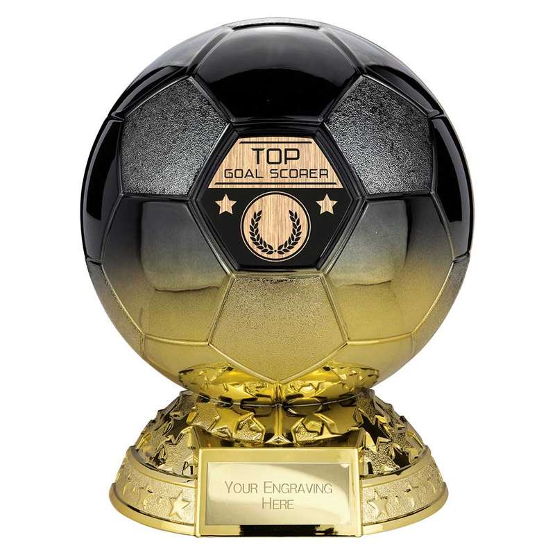 Elite Heavyweight Top Goal Scorer Award