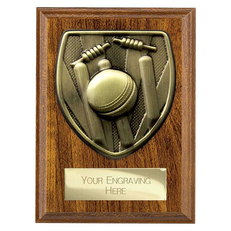 Cobra Plaque Cricket Award