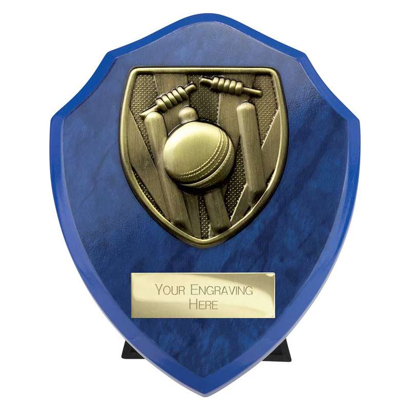 Cobra Shield Cricket Award