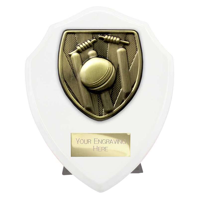 Cobra Shield Cricket Award