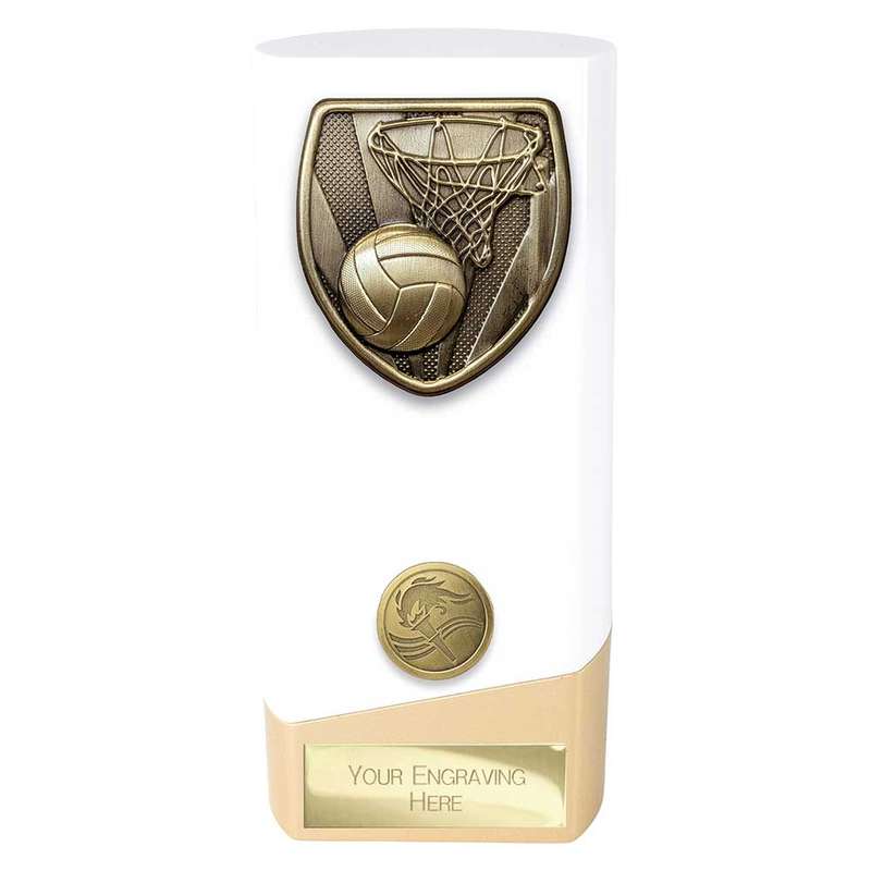 Prime Cobra Netball Award