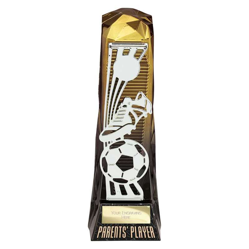 Shard Football Parents Player Award
