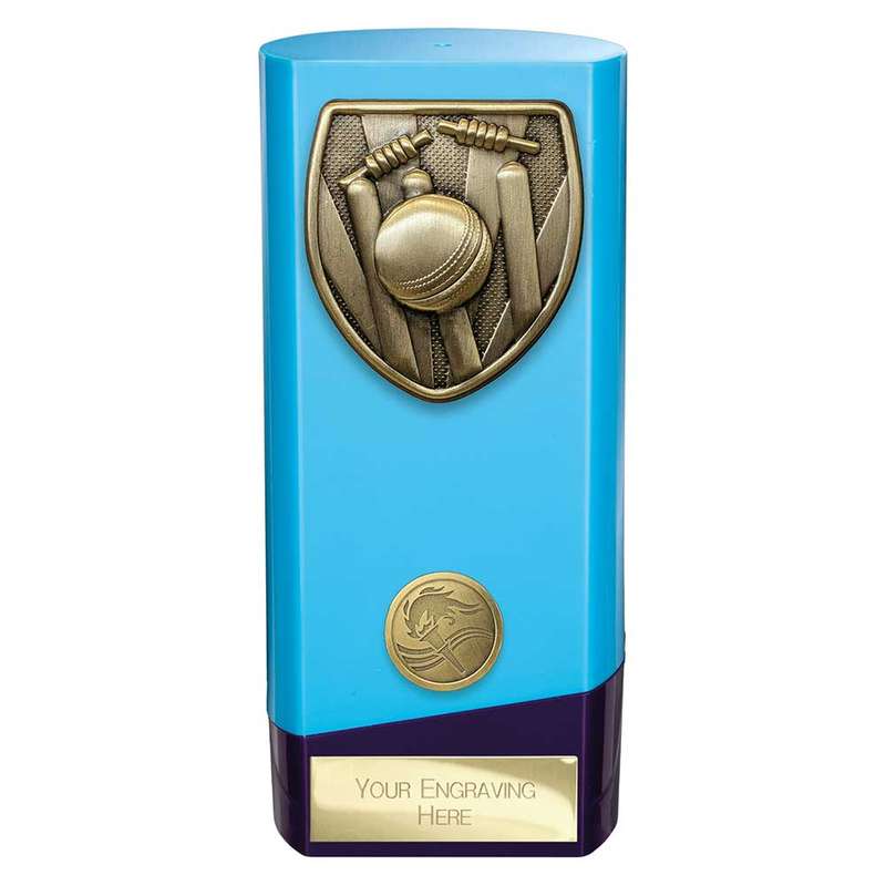 Prime Cobra Cricket Award