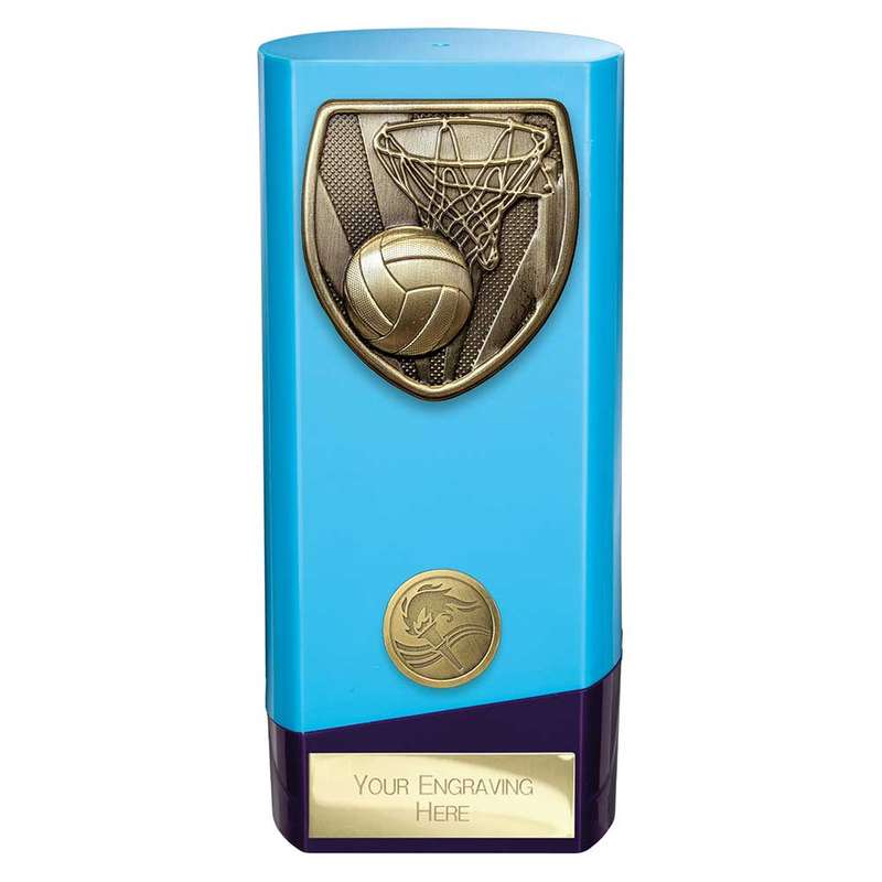 Prime Cobra Netball Award