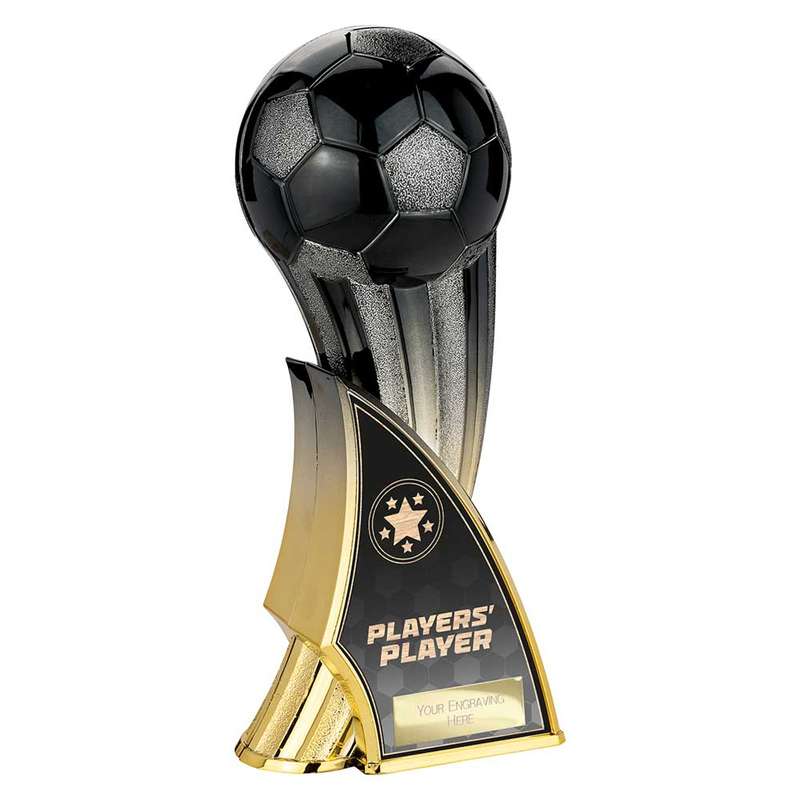 Firestorm Heavyweight Players Player
